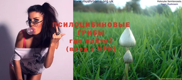 прущая мука Инта