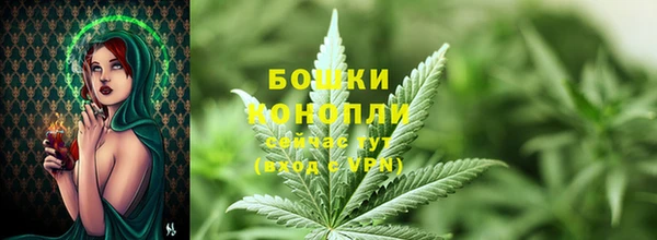 шишки Иннополис
