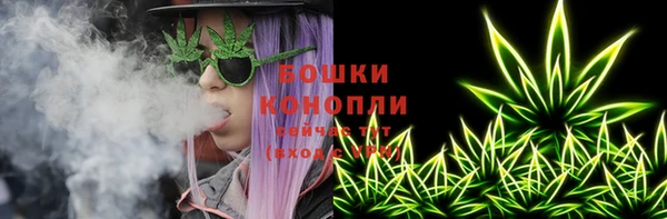 прущая мука Инта