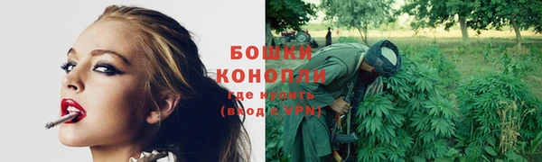 шишки Иннополис