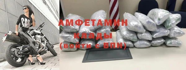 шишки Иннополис