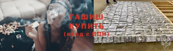 2c-b Инсар