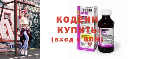 2c-b Инсар