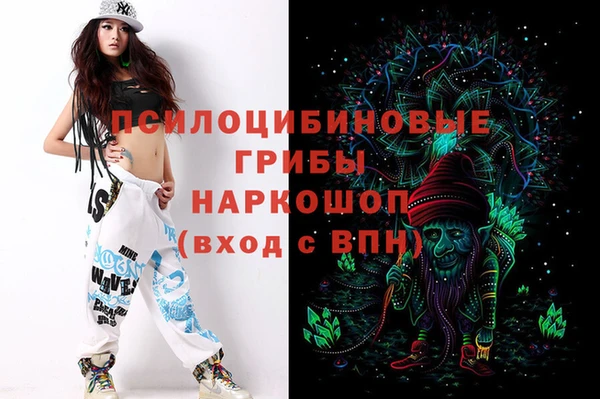 2c-b Инсар