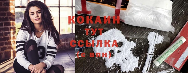 2c-b Инсар