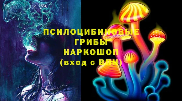шишки Иннополис