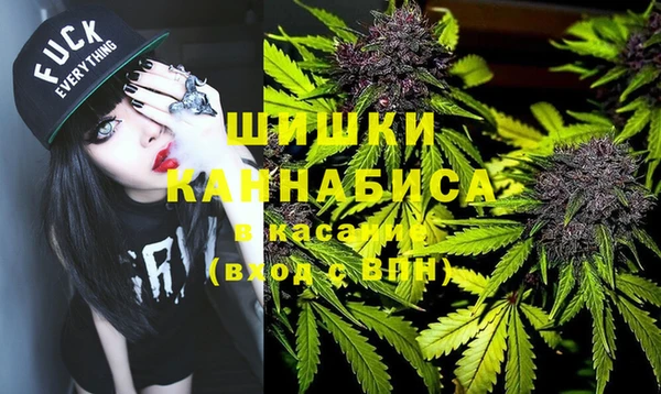 2c-b Инсар