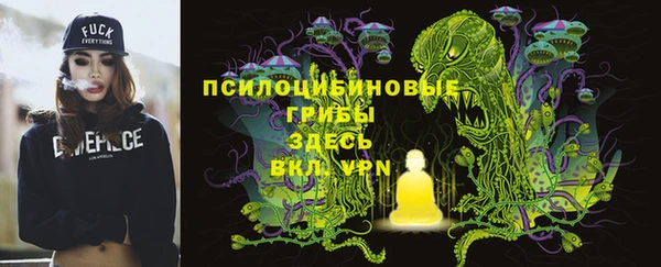 шишки Иннополис