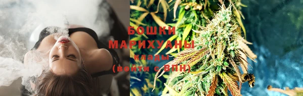 2c-b Инсар