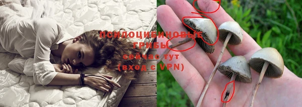 МДПВ Каменногорск