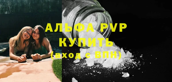 шишки Иннополис