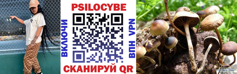 Галлюциногенные грибы GOLDEN TEACHER  Купить где  Котовск 